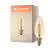 Ledvance Vintage 1906 LED E14 Mignon gull 3.4W 250lm - 822 ekstra varm hvit | dimbar - erstatter 25W