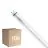 Fordelspakning 10x Philips Master LED Lysrør T8 (EM/Mains) High Output T8 11.3W 2100lm - 865 Daglys | 120cm - Erstatter 36W